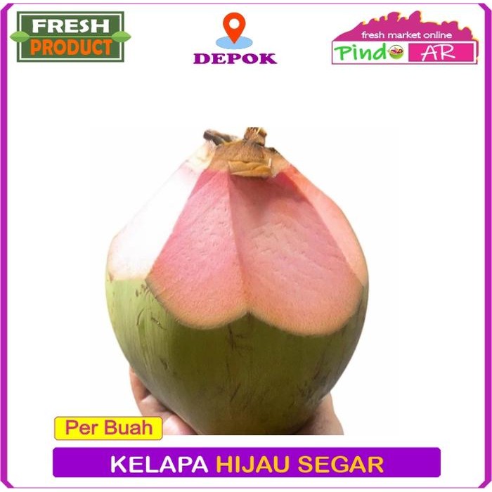 

NATURE- Kelapa Ijo Segar / Kelapa Hijau Asli / Kelapa Muda Fresh