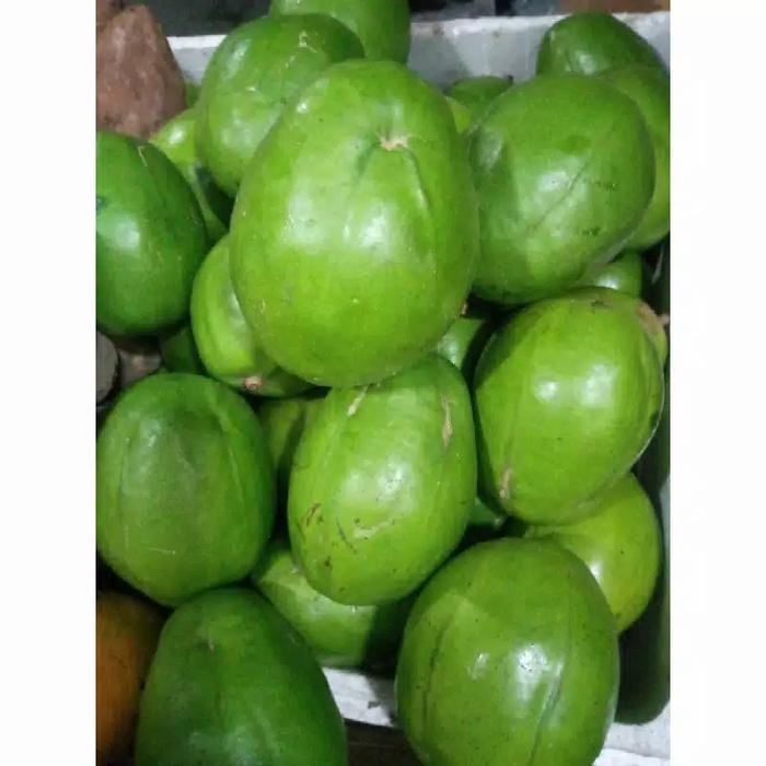 

NATURE- Buah Kedondong Super 1 Kg