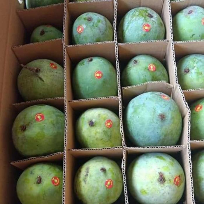 

NATURE- Mangga Harum Manis Premium Satu Dus.