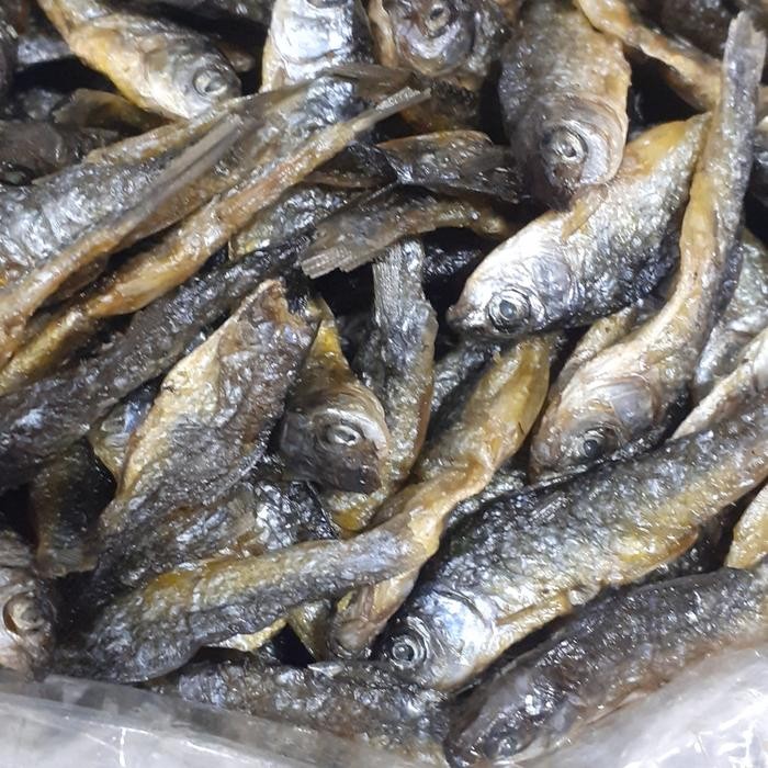 

Siap Kirim Ikan Danau Bilis Tawar 1kg - Ikan Bilis Segar