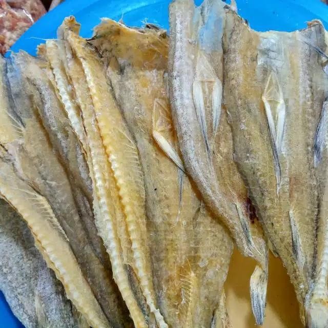 

Siap Kirim Ikan Jambrong / Sitting 250gr - Ikan Asin Gurih