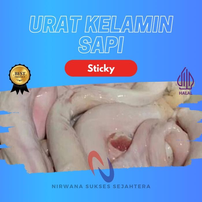 

Siap Kirim Urat Kemaluan Sapi / Beef Pizzle 500gr Shopee Daging Olahan