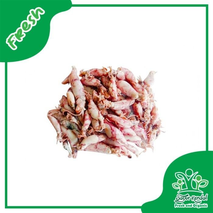 

DISKON Cumi Asin Segar - Sayur Kendal READY STOCK