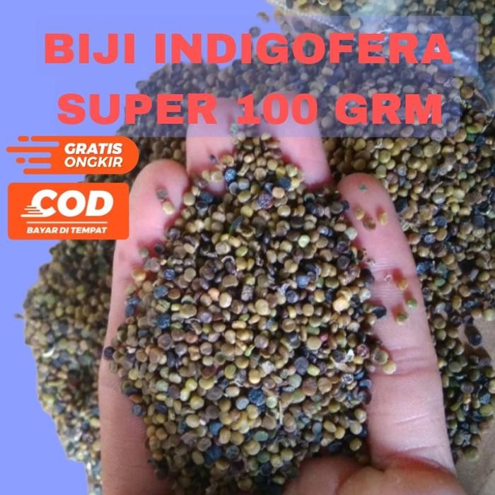 

biji Indigofera 100 GRM pakan ternak