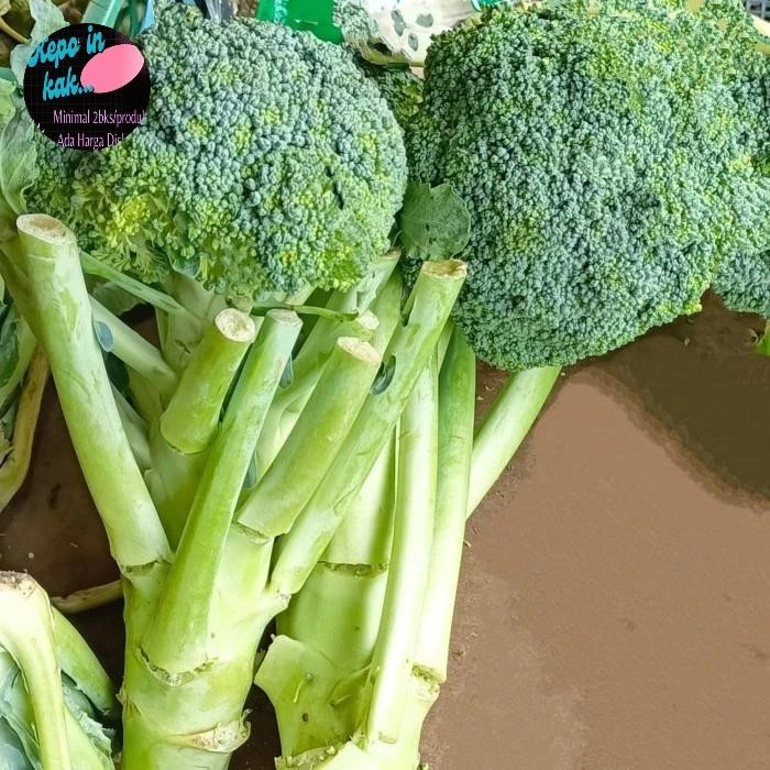 

LUXEHEALTH- Brokoli Hijau 1 Kg / Sayuran Segar Fresh Broccoli