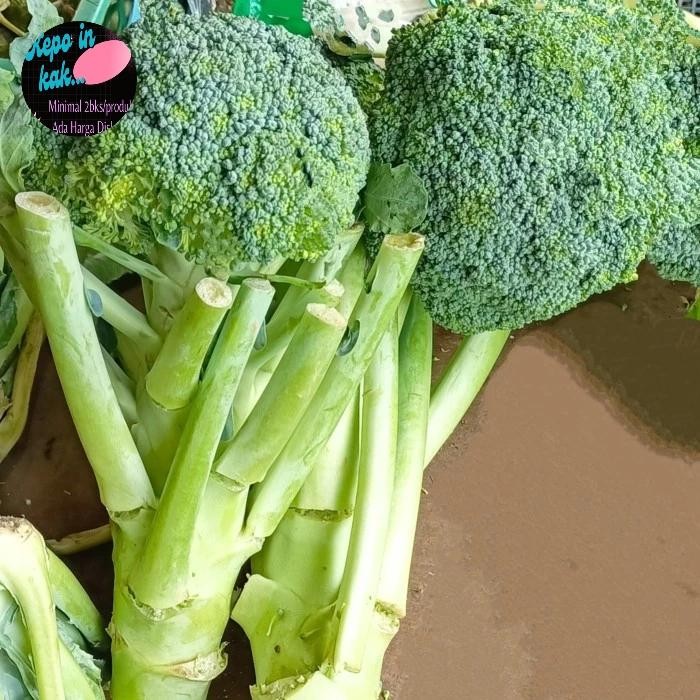 

LUXEHEALTH- Brokoli Hijau 500 Gram / Sayuran Segar Fresh Broccoli