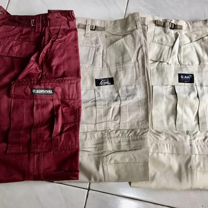 Alpina Celana Gunung Dan Cargo Panjang Bahan Tebal Original