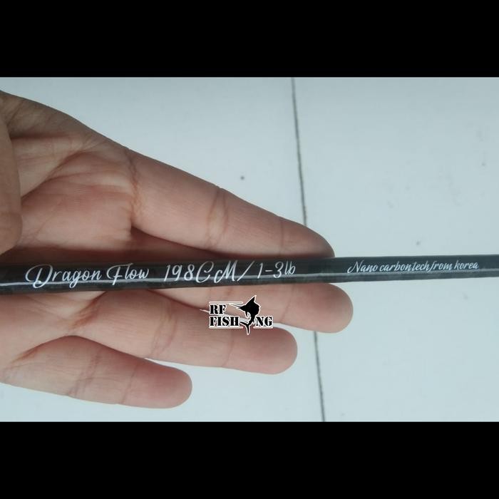 Blank Carbon hollow Ultralight