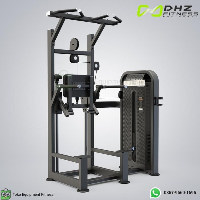 DHZ FITNESS DHZ E-5009 Dip / Chin Assist