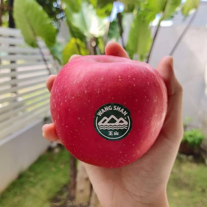 

Buah Apel Fuji Wangshan