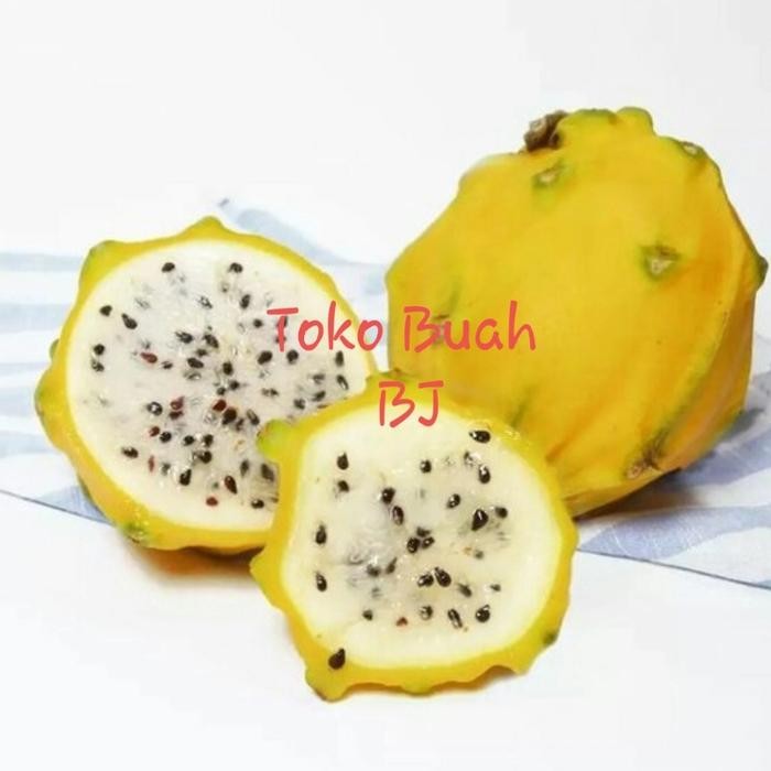 

Buah Naga kuning ekuador per dus