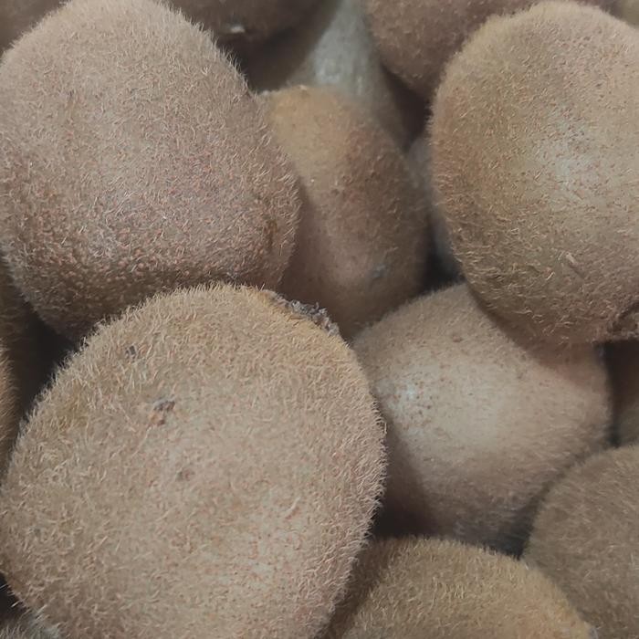 

buah kiwi hijau 1kg