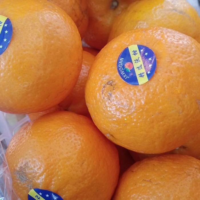 

jeruk markot import manis