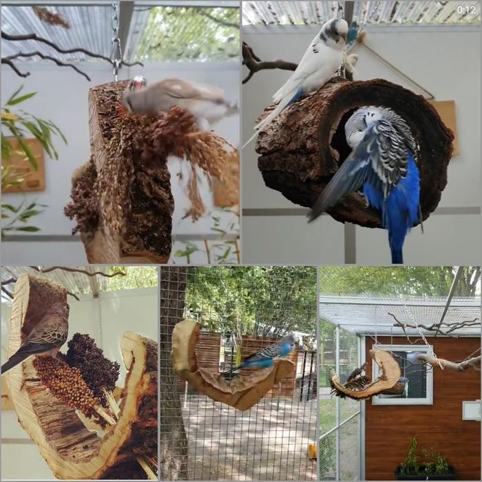 Mainan Ayunan Rumah Kayu Untuk Burung