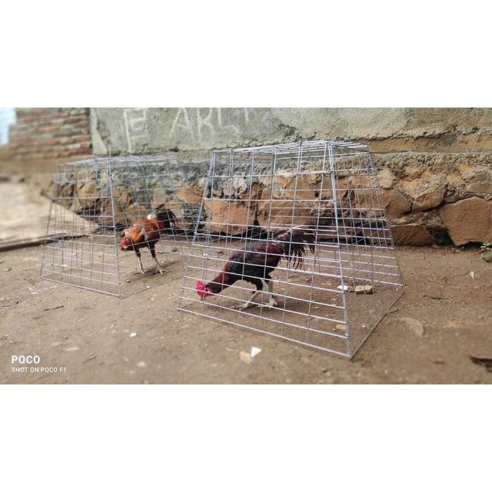 KURUNGAN BESI / KURUNGAN AYAM BANGKOK JAGO KATE ADUAN GALVANIS AWET