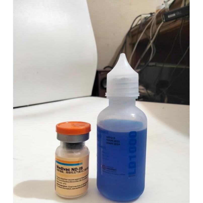 Vaksinasi Vaksin Ayam Nd Ib Dosis 1000 Ekor Ayam