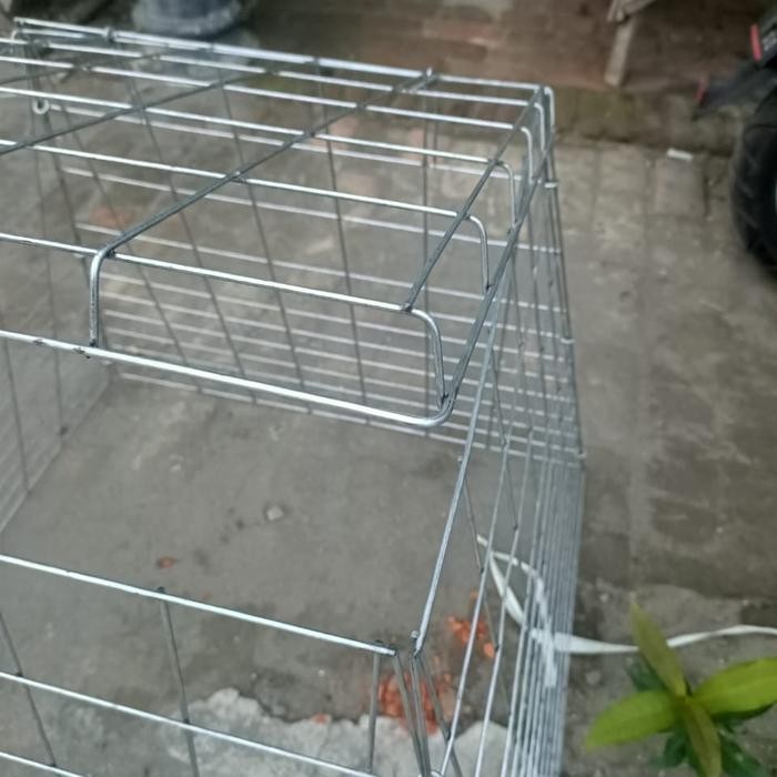 KURUNGAN AYAM PIRAMID GALVANIS