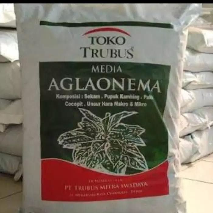 pupuk media tanam trubus khusus aglonema 1 karung