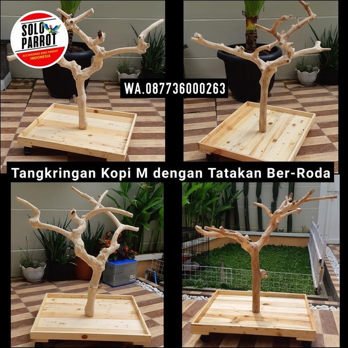 Ranting Kayu Kopi Buat Burung