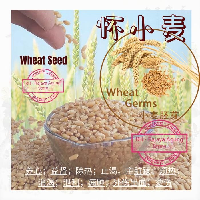 

100g Wheat Germ Seed Barley Malt Beras Gandum Oat Xiao Yan Mai