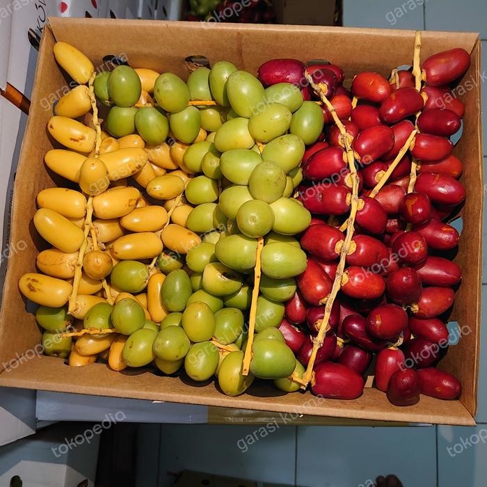 

KURMA MUDA MIX SEGAR (MERAH dan KUNING) / Buah Kurma Muda / Kurma / Ruthob