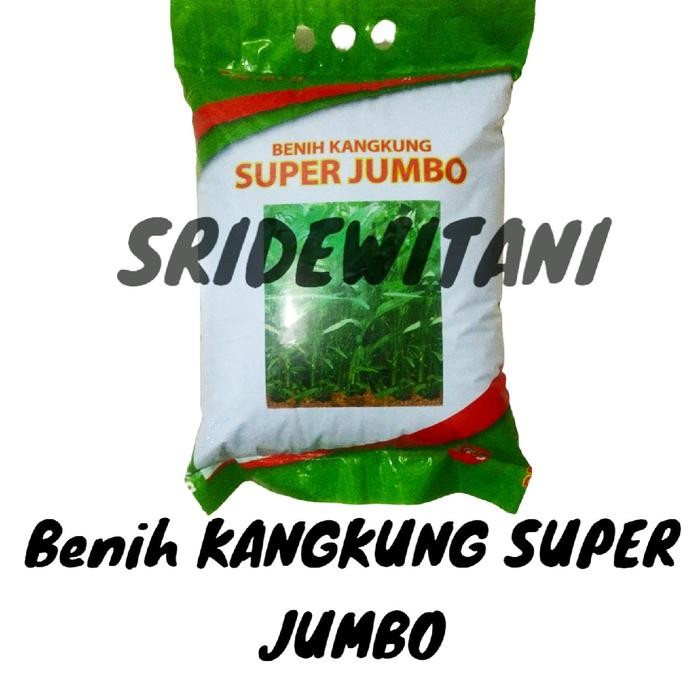 

Terbaru Benih Kangkung 5Kg Cap Garuda Seed Super Jumbo Fresh