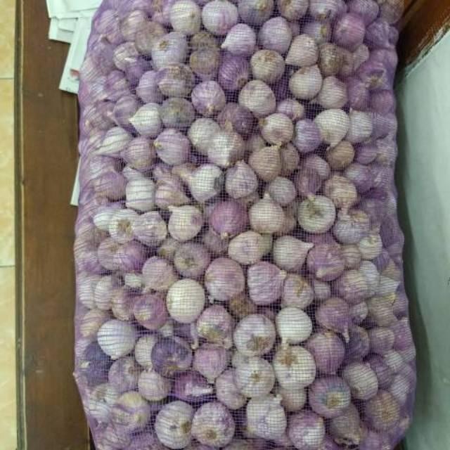 

Bawang Putih Tunggal/Bawang Lanang Tunggal Import Jumbo 500GR Terlaris