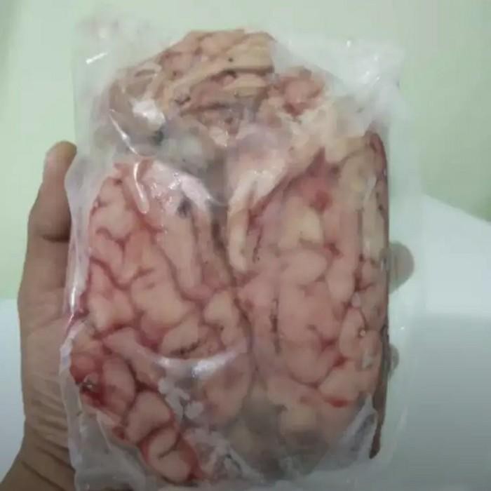 

(Expert) otak sapi fresh