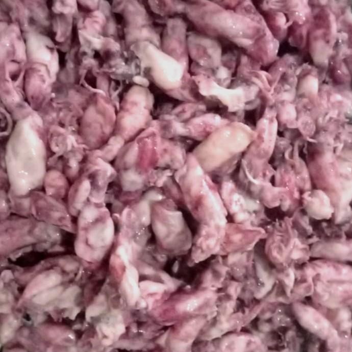 

(Expert) Baby Cumi Setengah Basah 500 Gram