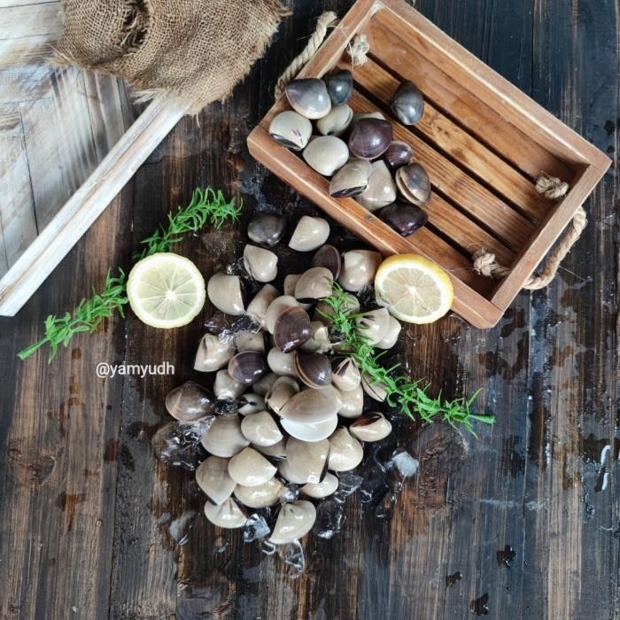 

(Expert) kerang tahu besar frozen pilihan 1kg