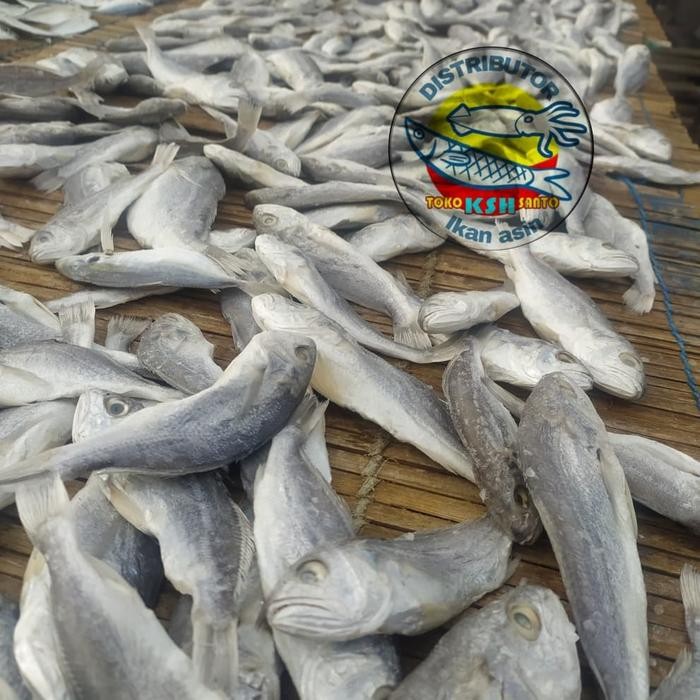 

Ikan Asin Samge Kepala Batu-1Kg