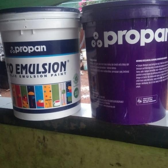 (Expert) ember cat 25kg lengkap tutup