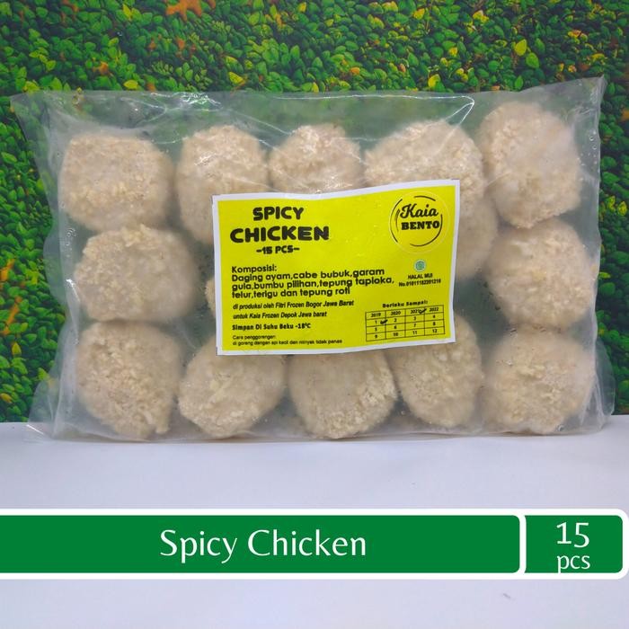 

New Spicy Chicken Bento Frozen Homemade Isi 15