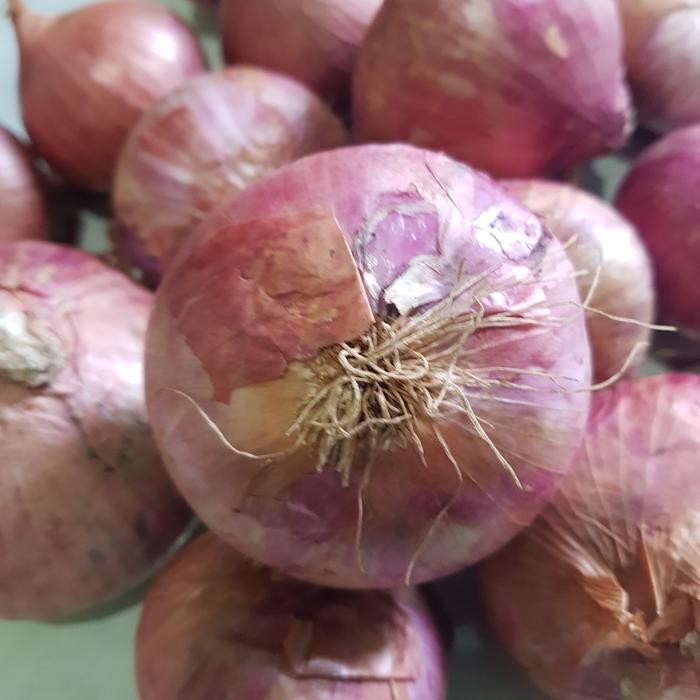 

New Bawang merah india bawang peking 1 kg