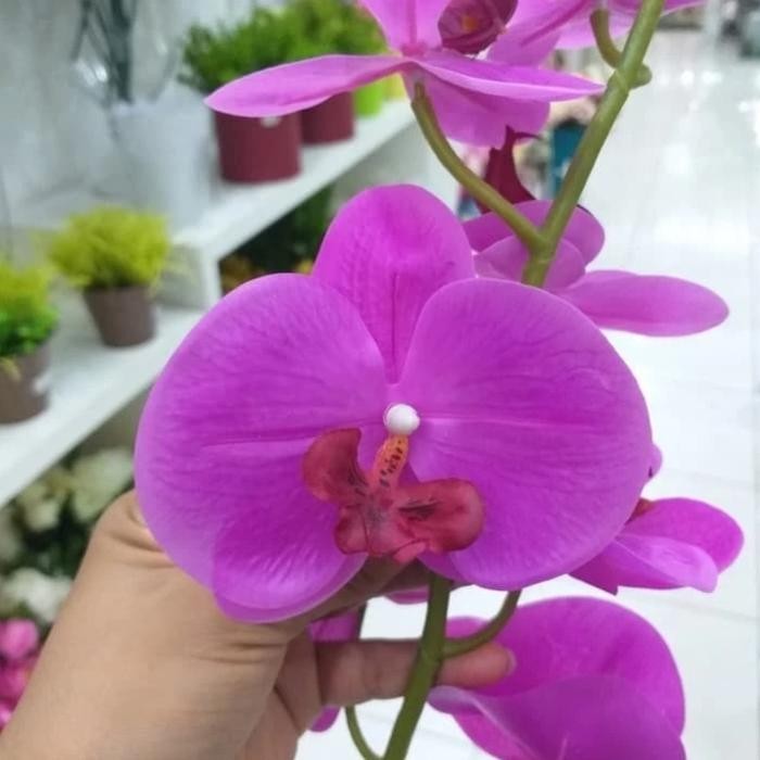 Termurah- [X-B474] Bunga Anggrek Latex/ Anggrek Bulan Putih / Anggrek Artificial