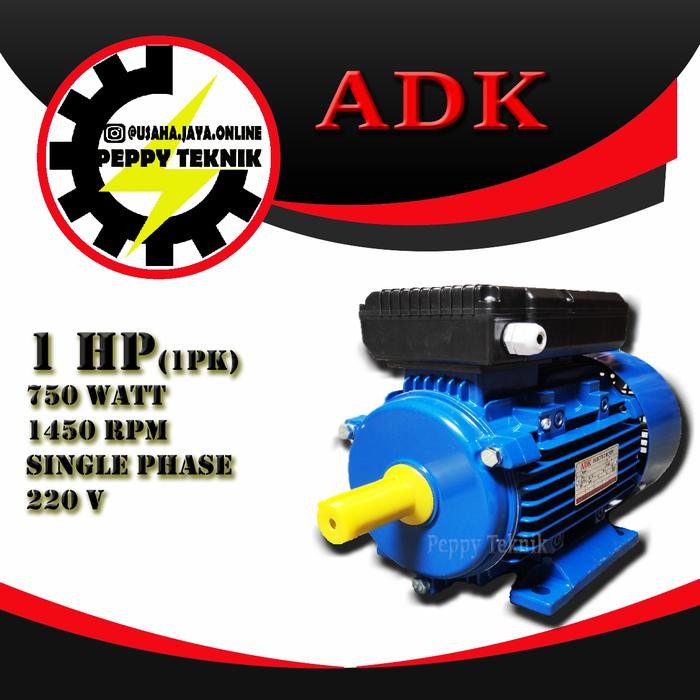 DINAMO 1 HP / 1 PK (750 WATT) RPM 1450 1 PHASE 220 VOLT
