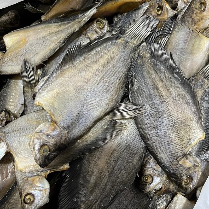 

SEPAT SIAM ASIN – Kering Bersih, Rasa Tradisional & Siap Goreng