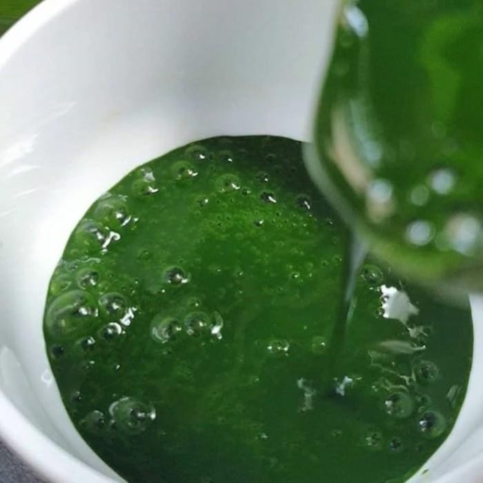 

Endapan Pandan Murni Terlaris Grosir 12 Botol Gratis Ongkir