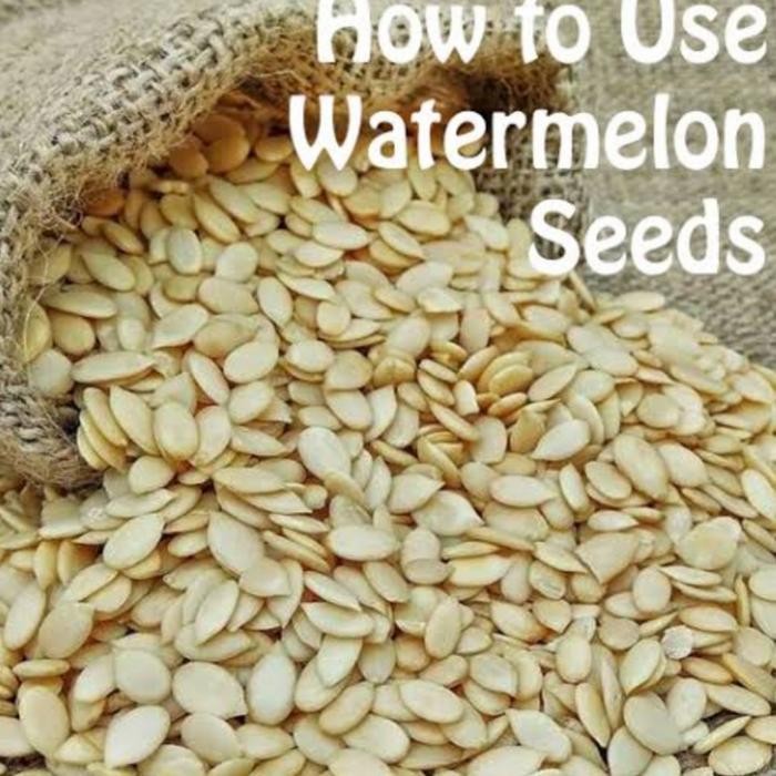 Terlaris Melon Seed Biji Melon Eguzi