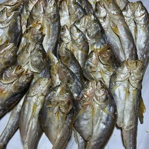 

BAKUL SELUNGSUNGAN ASIN