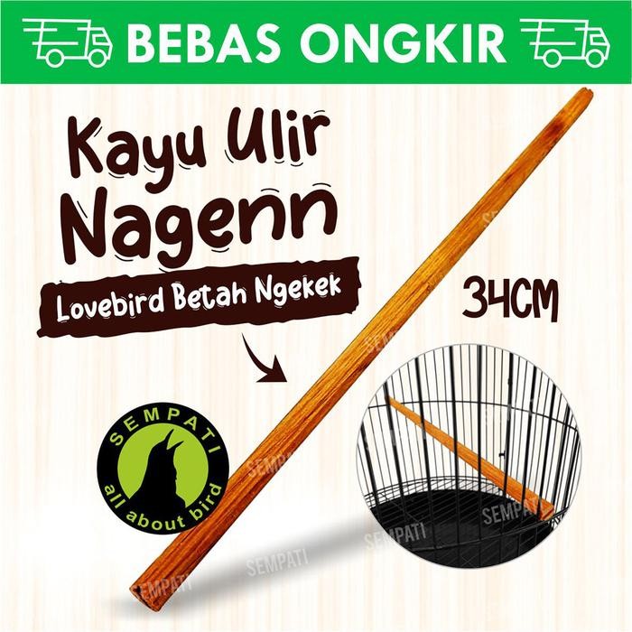 Tangkringan lovebird ulir kayu jati 30cm sangkar kandang burung kenari