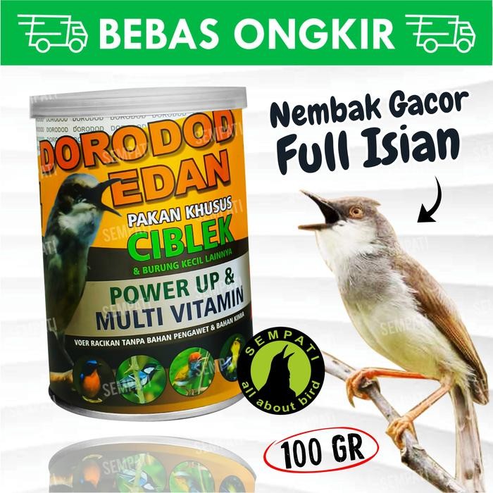 PAKAN BURUNG CIBLEK DORODOD EDAN