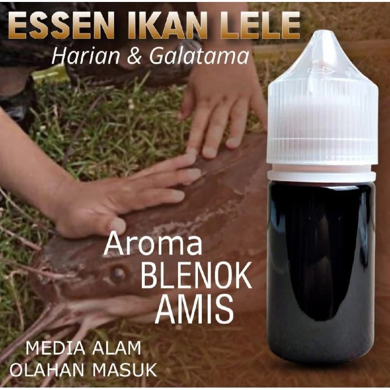 Essen Lele Gacor Hitam – Ampuh untuk Induk Babon, Media Alam Terbukti Efektif