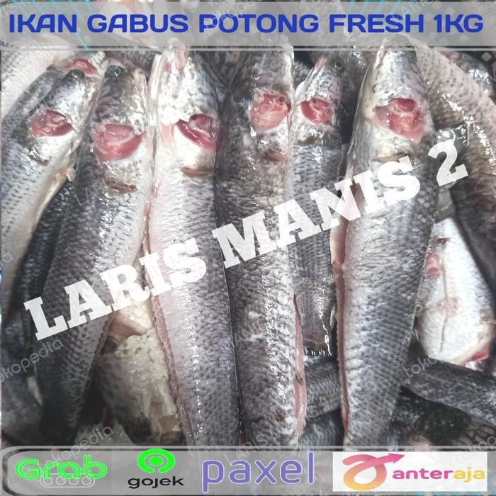 

ikan gabus segar potong 1000gram