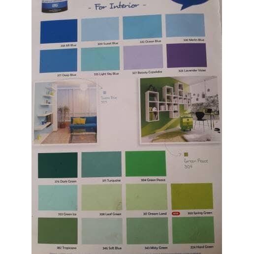 Expert Cat Paragon 5 kg. Paragon galon warna