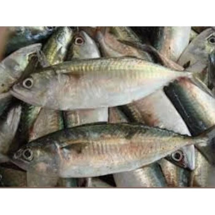 

Ikan Kembung 1kg - Instann Only