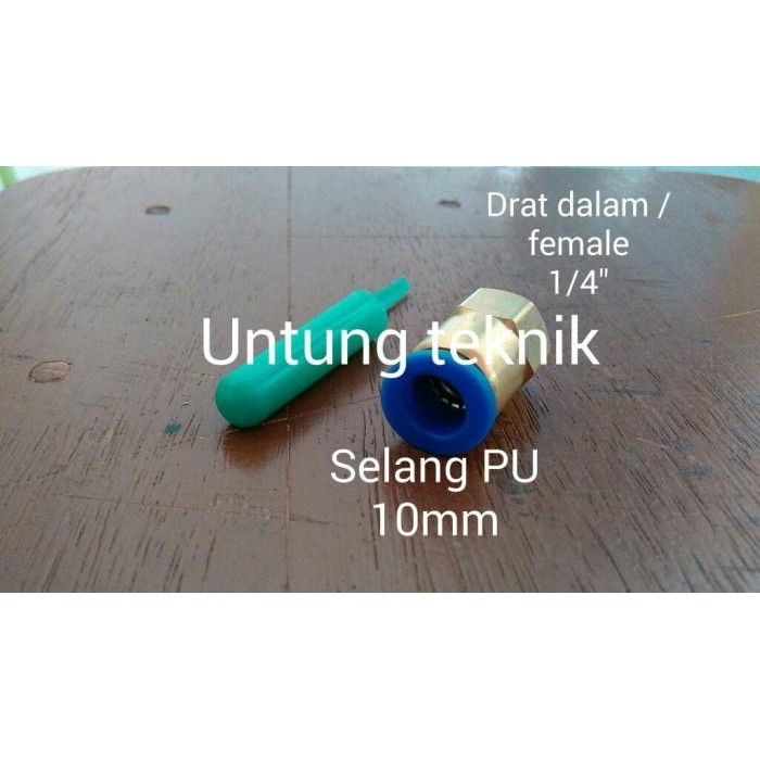 Expert Nepel Selang PU drat dalam / female ukuran 10mm x 1/4"