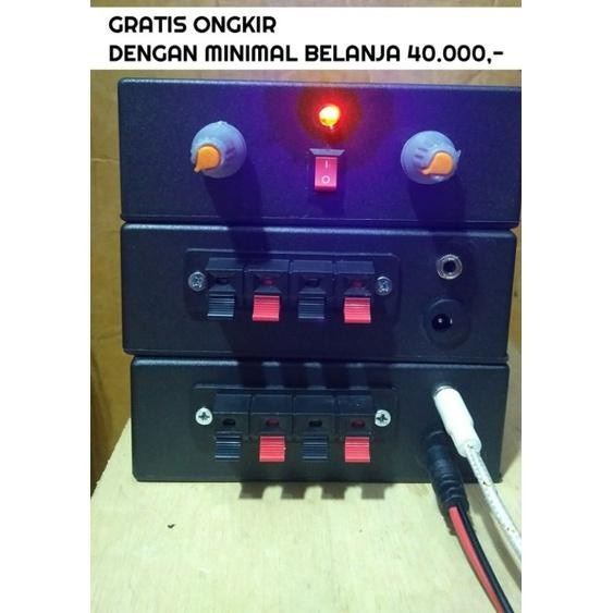 (Expert) POWER AMPLIFIER MINI 12 VOLT (STEREO 2 CHANNEL)