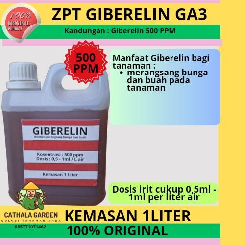 ZPT HORMON GIBERELIN GA3 500 PPM KEMASAN 1 LITER UNTUK TANAMAN