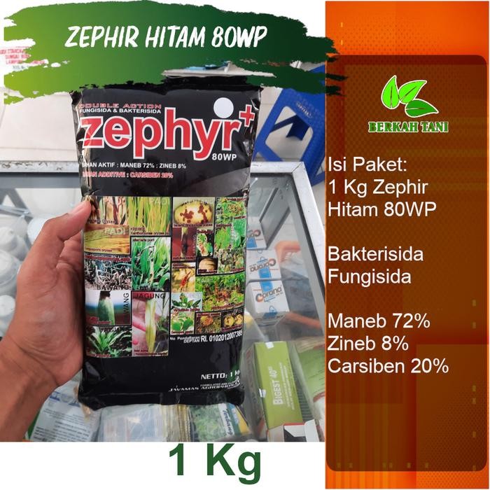 Zephyr Carbendazim 60WP 1 Kg Bakterisida dan Fungisida